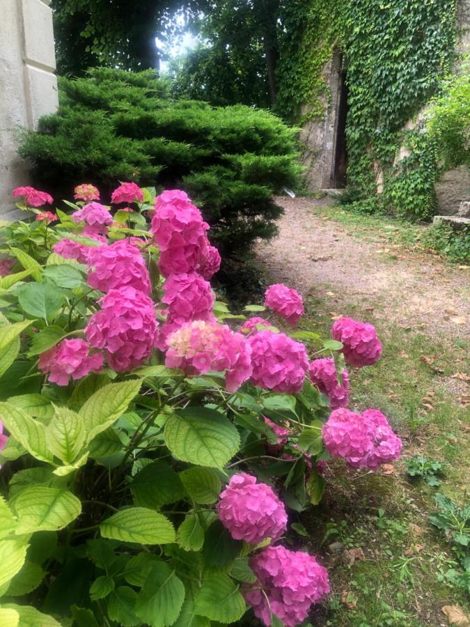 Bed and Breakfast Demeure Des Payratons Saint-Gerand-le-Puy Экстерьер фото